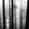 201204 095