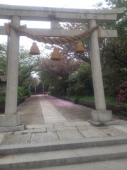 sakura road