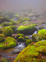 201204 御岳山
