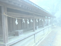 201204 117