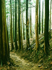 201204 御岳山