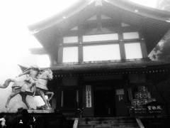 201204 106