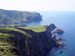 隠岐(摩天崖)