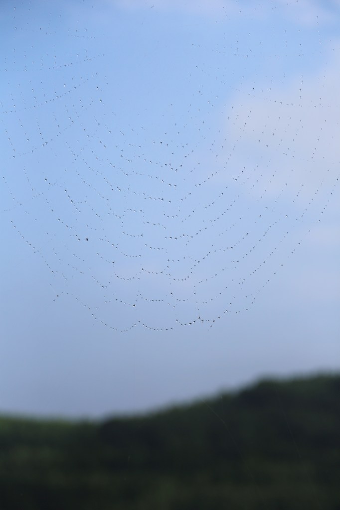 空に掛ける糸