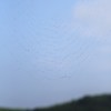 空に掛ける糸