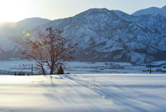 とある里山の朝