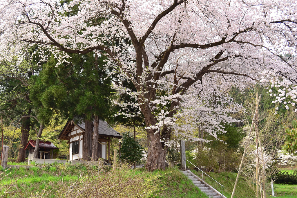 山ノ神
