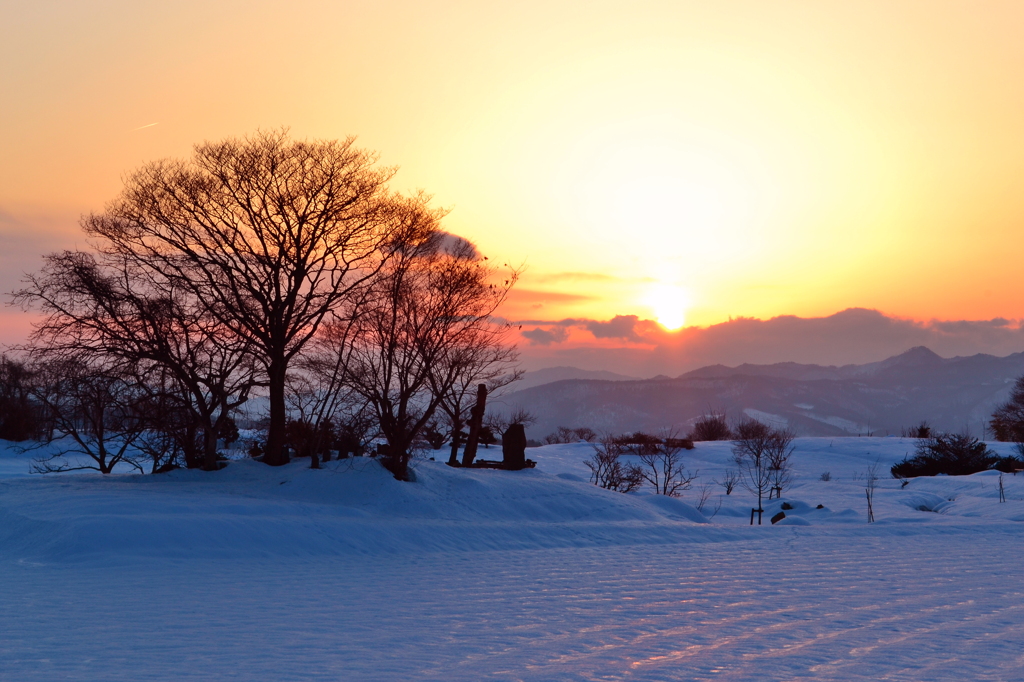 沈む雪