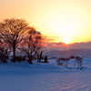 沈む雪