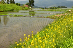 里山