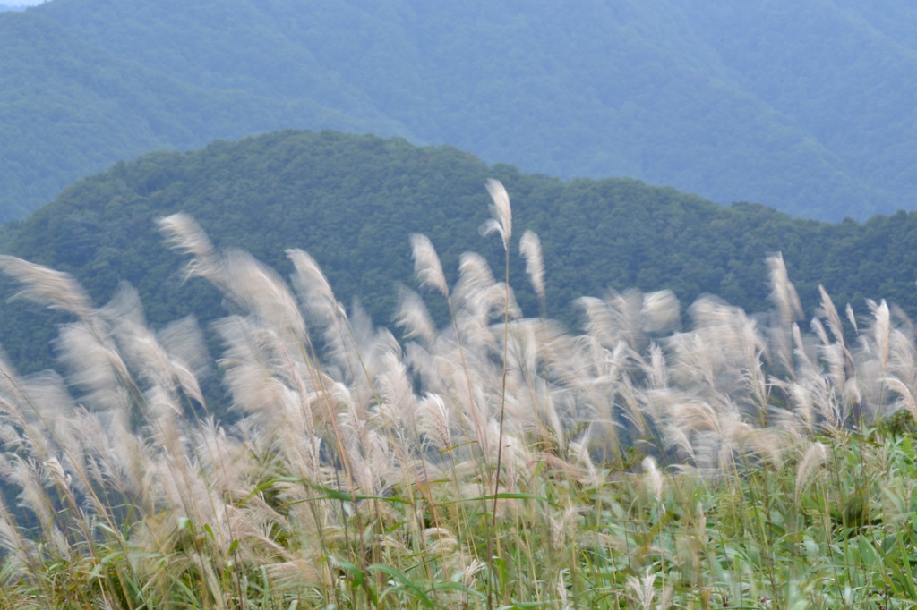 風越峠