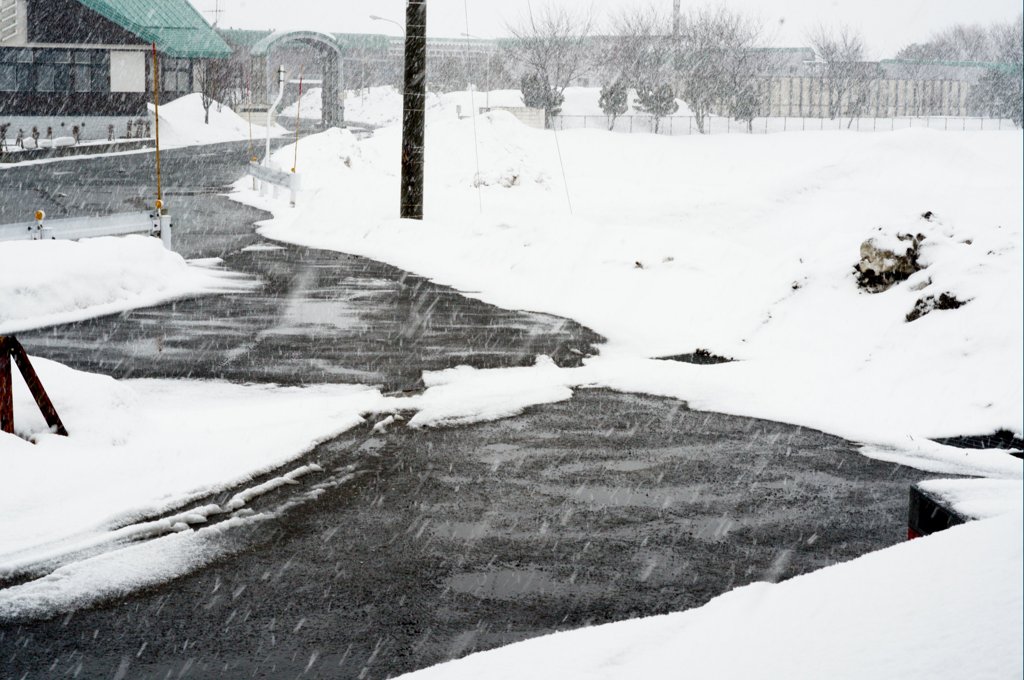なごり雪ニモほどがある