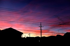 嵐の後に