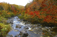 Autumn River