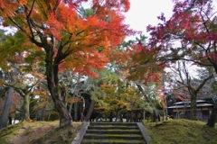 Red hill