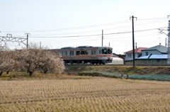 田園