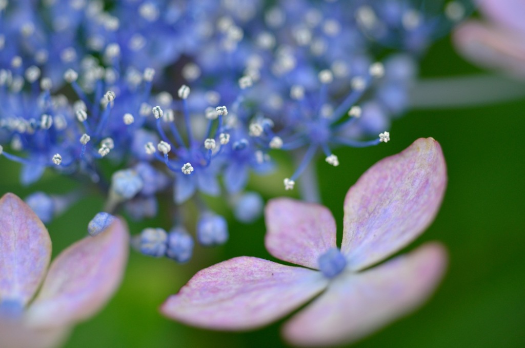MICRO WORLD