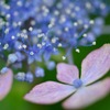MICRO WORLD