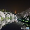 千鳥ヶ淵