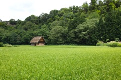 小屋
