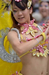 浅草サンバ カーニバル2014