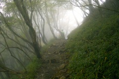 登山道
