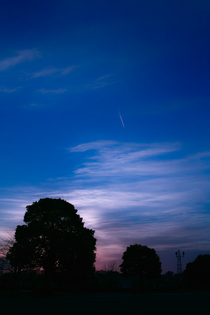 Blue Motion