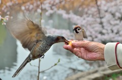 食欲の春