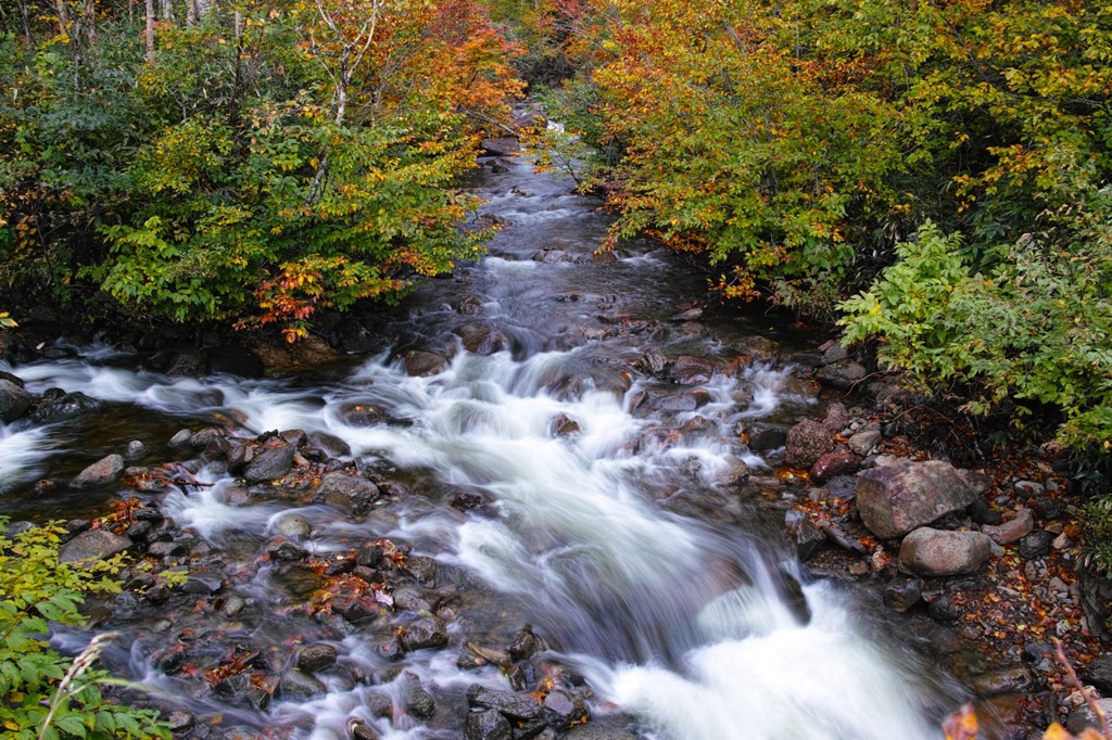 Autumn River
