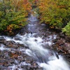 Autumn River