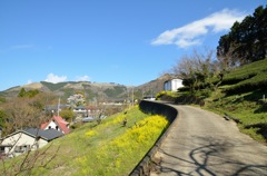 田舎道