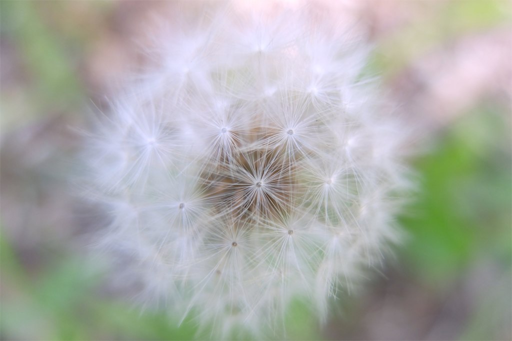 Fluff