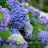 時雨の記