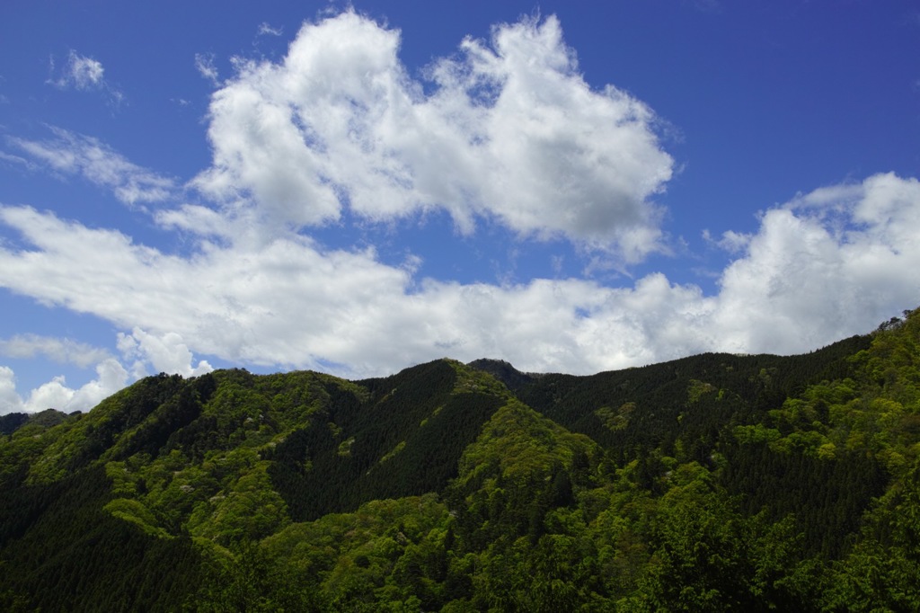 山の端