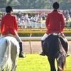 ２頭の馬