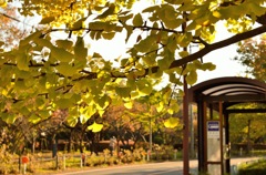 BUS STOP