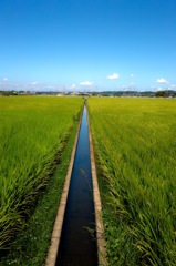 水路