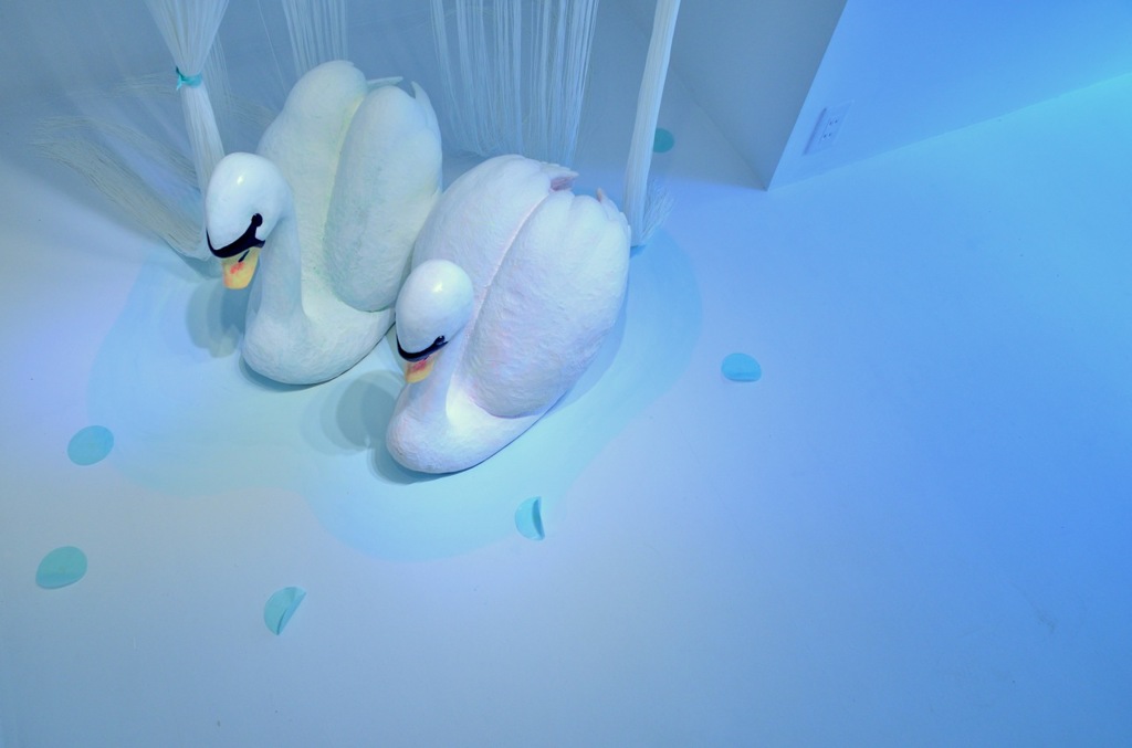 swan lake