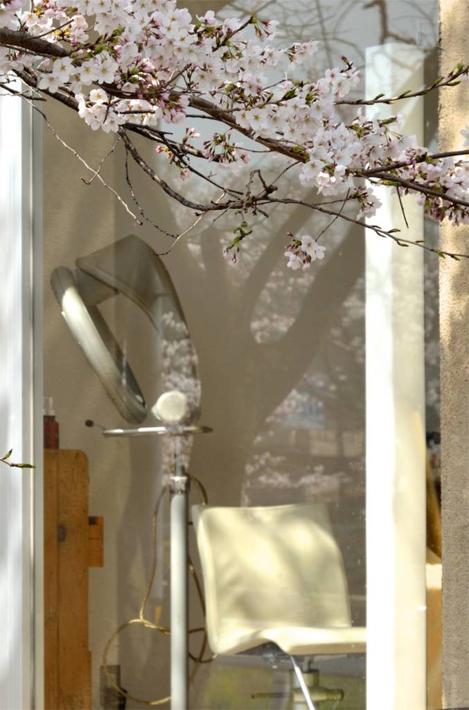 Spring Parlour