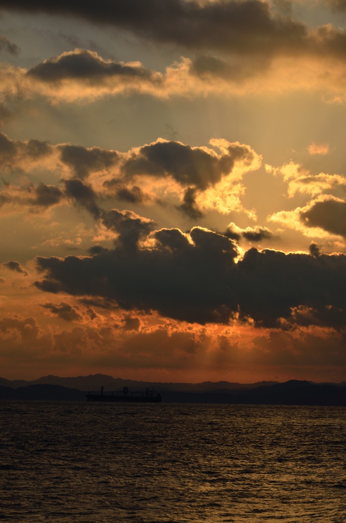うさぎ雲