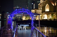 夜の庭