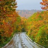 Autumn Road