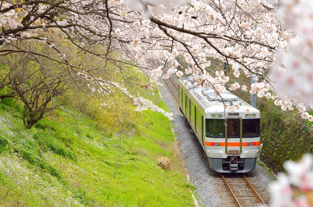 春列車