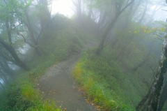 Myst