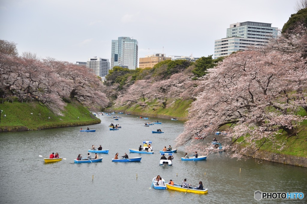 千鳥ヶ淵