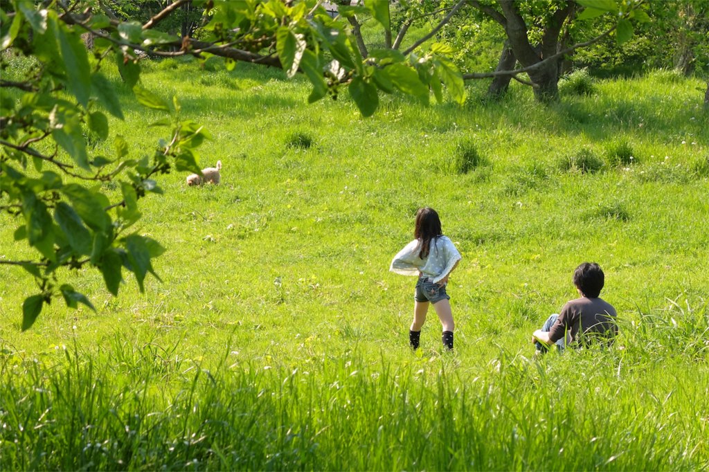 柔らかな休日
