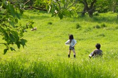 柔らかな休日