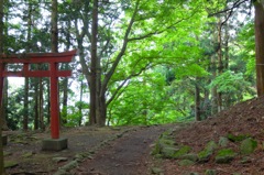 神苑
