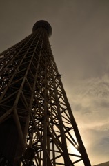 スカイツリー