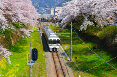 花の列車